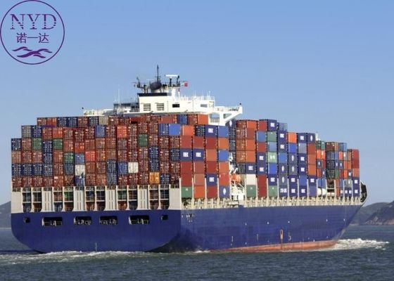 Cargo DDP Shipping Sea Freight Amazon FBA International Agent