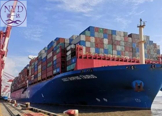 Secure DDP Delivery Duty Paid Shipping Service Cargo DDU Delivery