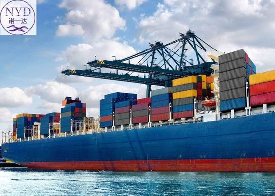 CIF International Sea Freight Services FCL DDU DDP With Documentation