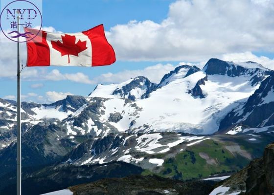 Tracking Freight Forwarder China To Canada Agent Cargo Sea Shipping Service